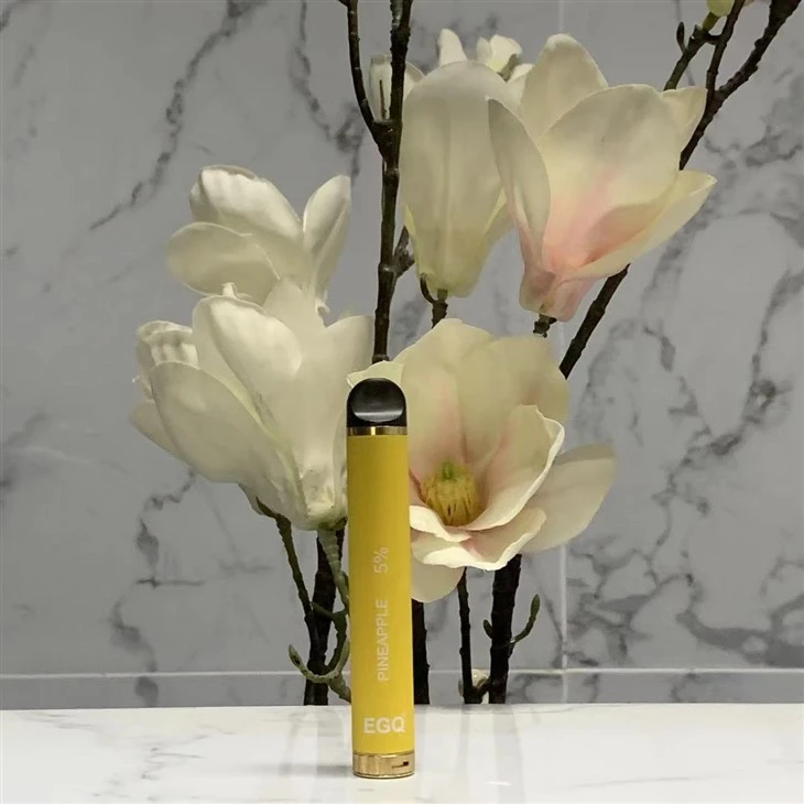 Nov modni prenosni vape za enkratno uporabo s sadnim okusom